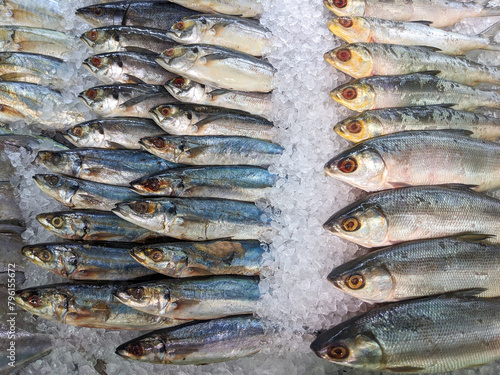 fresh fish on the market