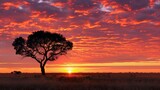A lone tree stands silhouetted against the fiery hues of sunrise, a symbol of endurance and renewal in the face of the changing day.