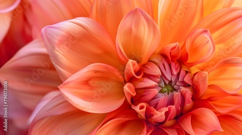 Capturing the Timeless Allure of Nature s Beauty with Vibrant Floral Close Ups © CYBERUSS