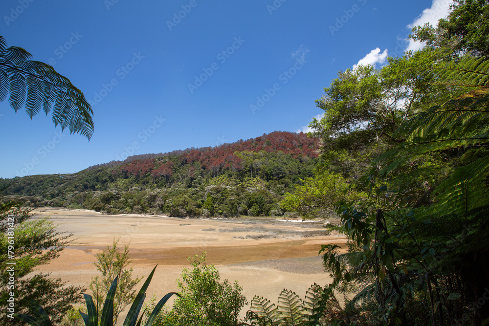 Bark Bay, New Zealand - beach and Lush Forests, Natural Seaside Panorama