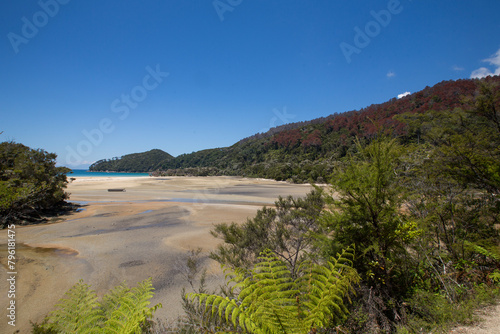 Bark Bay, New Zealand - beach and Lush Forests, Natural Seaside Panorama