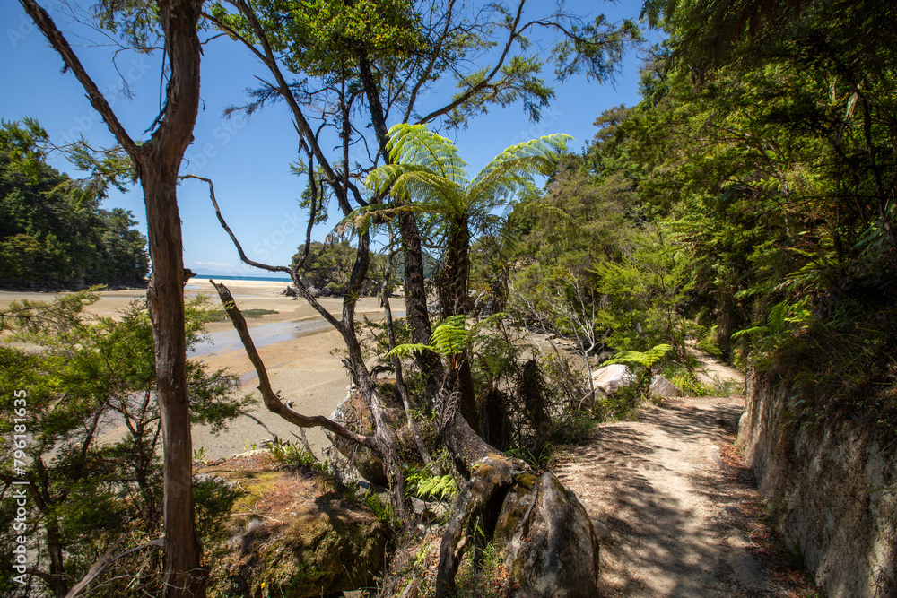 Bark Bay, New Zealand - beach and Lush Forests, Natural Seaside Panorama Bark Bay, New Zealand - beach and Lush Forests, Natural Seaside Panorama