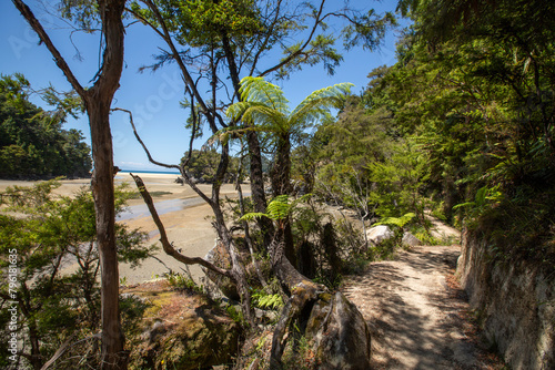 Bark Bay, New Zealand - beach and Lush Forests, Natural Seaside Panorama