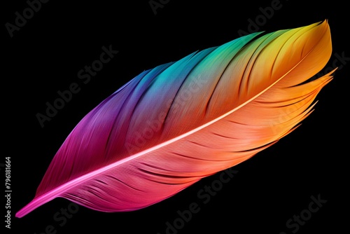 Exotic Bird Feather Gradients  Fusion of Stunning Feather Hues