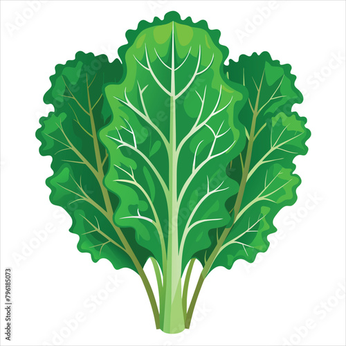 colorful illustration of kale