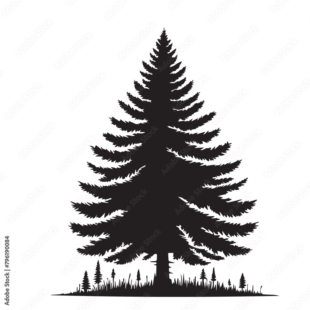 Obraz premium pine tree silhouettes vector - black pine tree 