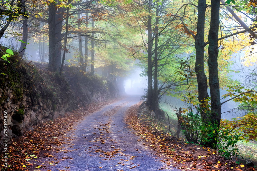 Obraz premium Carretera de Casilas con niebla