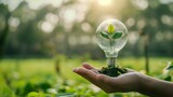 Energy Bulb Green Plant Natural Ecosystem Idea Concept