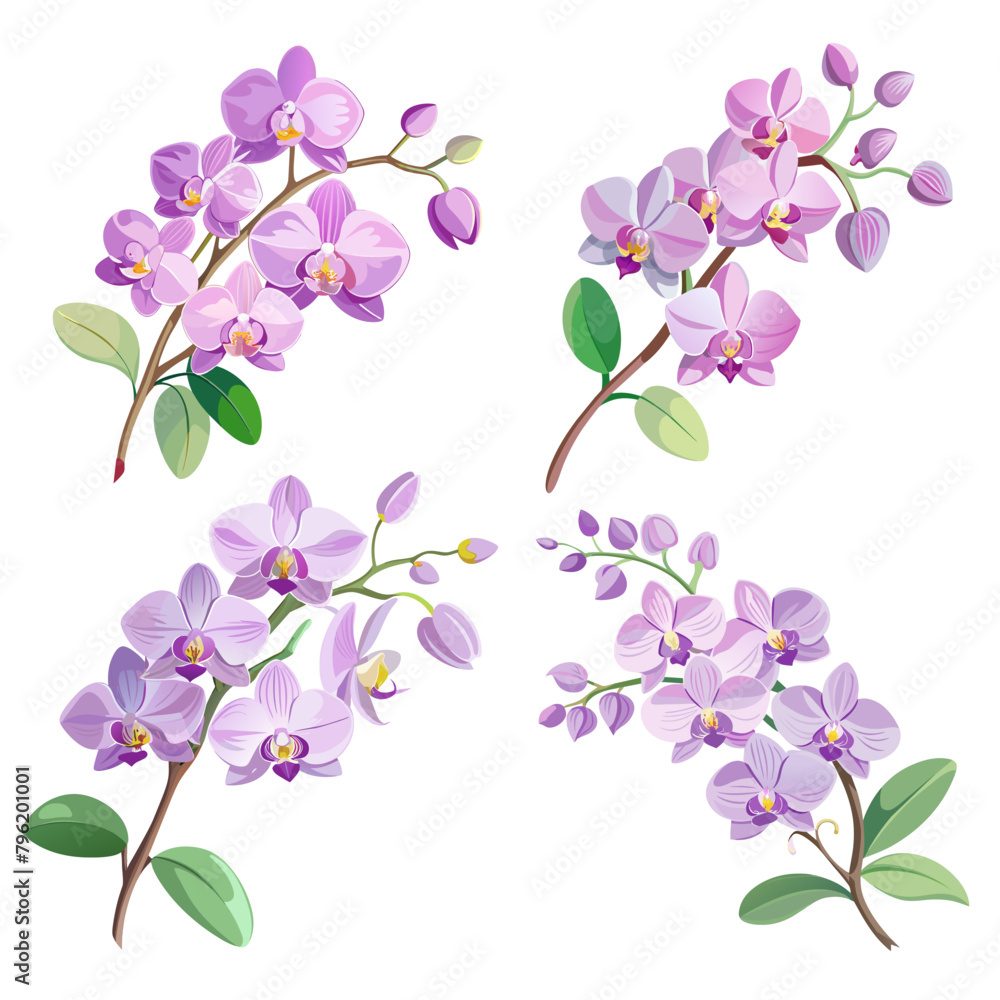 set of flower exotic lilac orchid branch