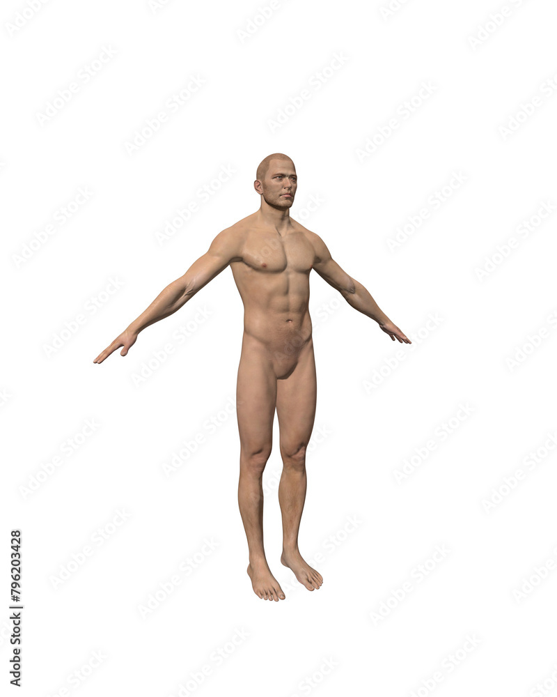 3d rendered illustration of a person 3d rendered illustration of a person