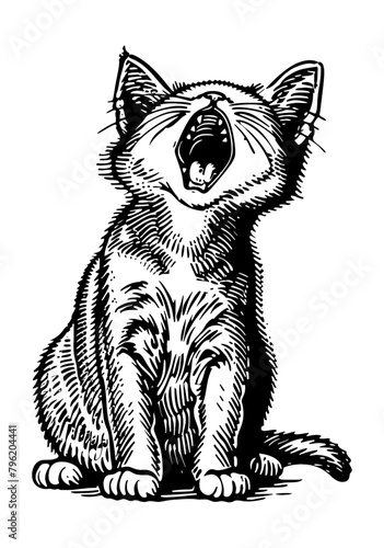 kitten yawn engraving black and white outline