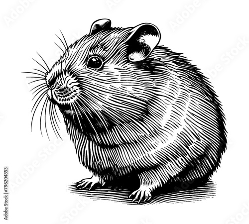 hamster engraving black and white outline