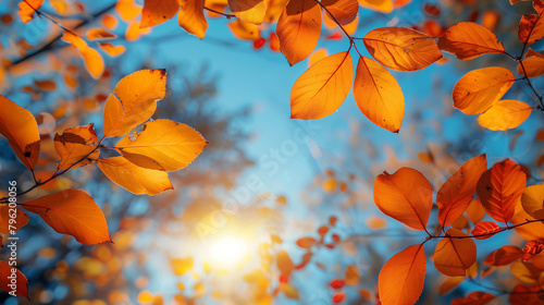 Autumn leaves in bright orange hues against a clear blue sky, with sunlight streaming through.	 photo