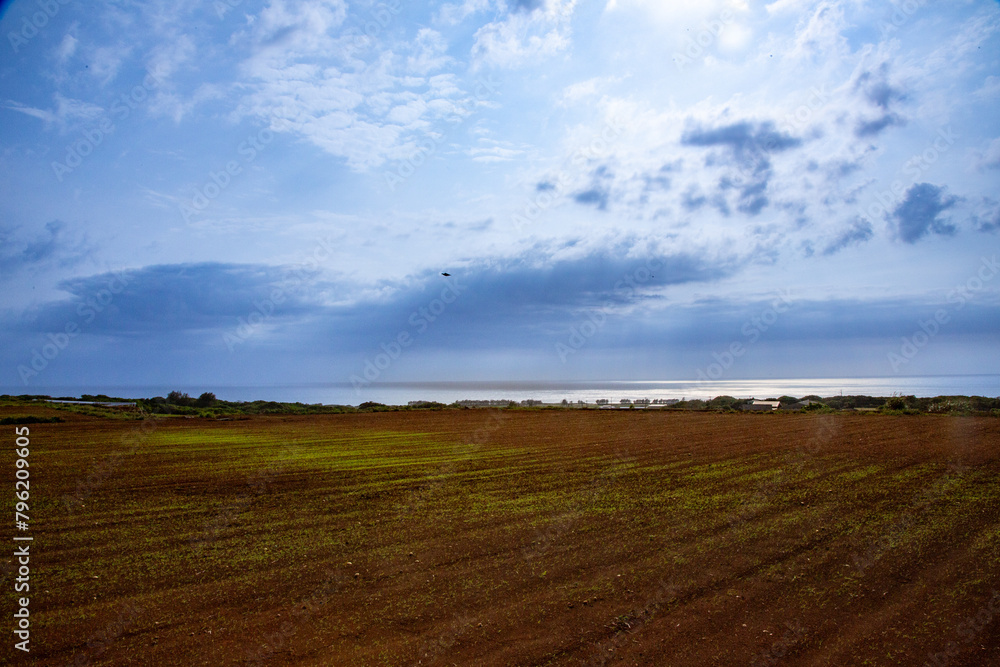 沖永良部島の風景、農地