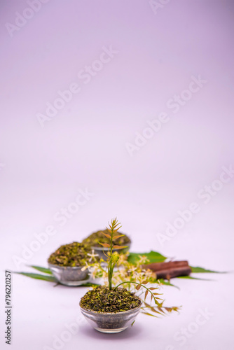 Close up top view of Indian ayurvedic herb Neem /Azadirachta Indica green leaves on white background with dry powder in glass dish with selective focus.Medicinal Neem leaves with neem paste in spoon  photo