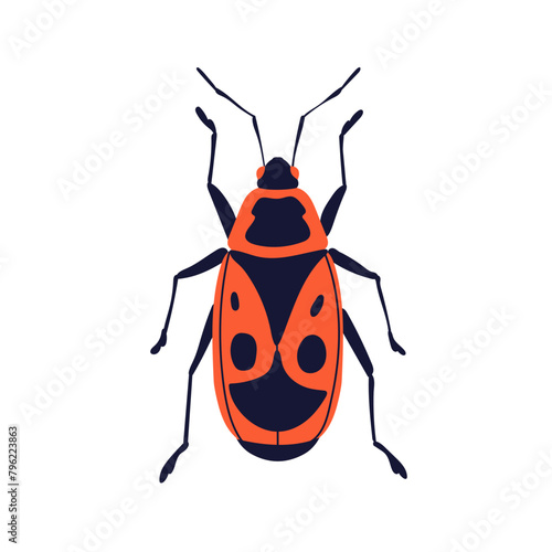 Firebug, Pyrrhocoris apterus. Fire bug, insect species, fauna, spotted patter...