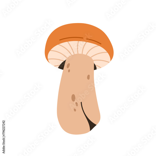Autumn edible mushroom, fungus icon. Leccinum, natural fall season food. Fresh fungi with gilled cap, stalks, stipe. Flat graphic vector illustration isolated on white background