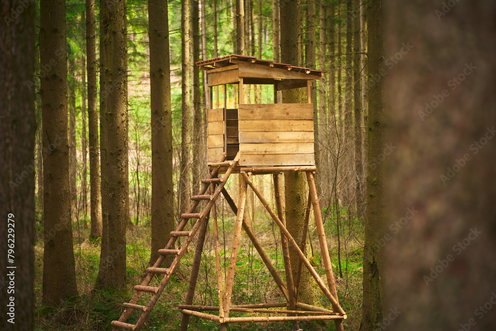 Hidden Watchtower: A Sentinel for Observing Forest Wildlife Hidden Watchtower: A Sentinel for Observing Forest Wildlife