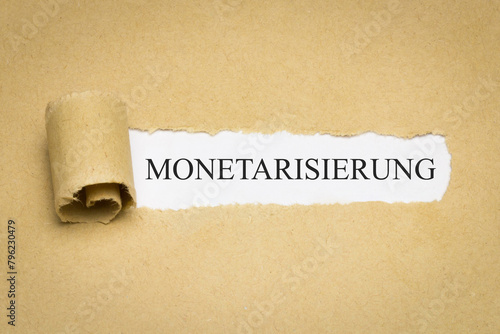 Monetarisierung