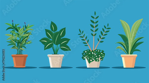 Set of office plants in pots. Vector flat style illustration