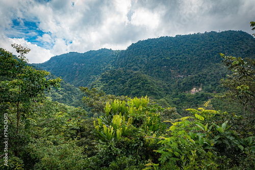 Selva Selva