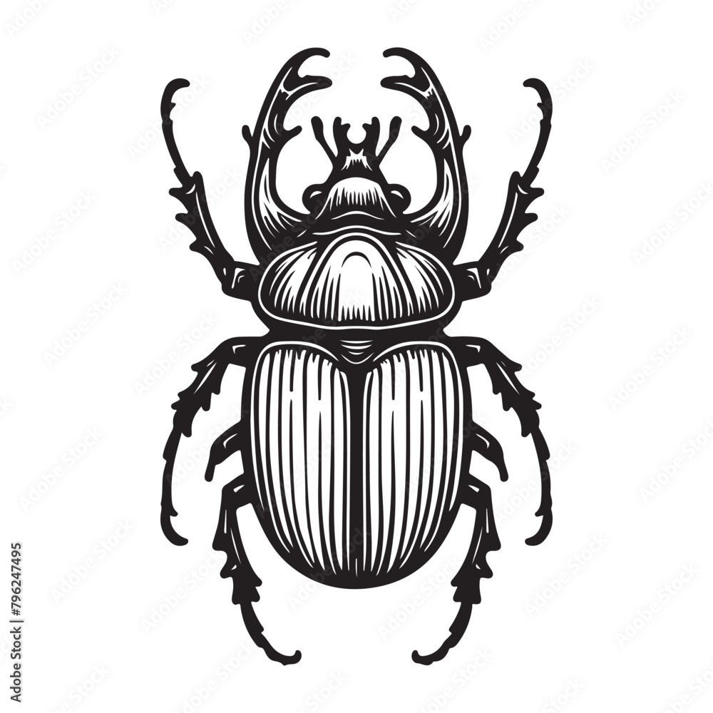 Line art of beetle vector Line art of beetle vector