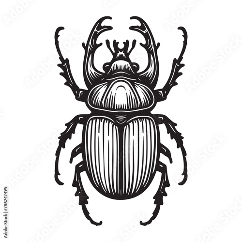 Line art of beetle vector