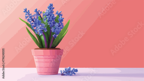 Pot with beautiful hyacinth plants on pink background