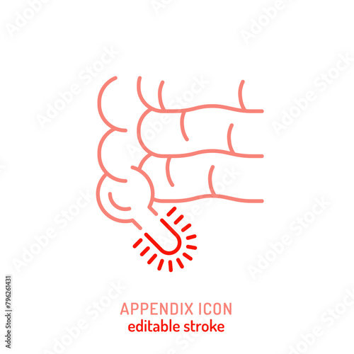 Appendix sign. Editable vector illustration in modern outline style