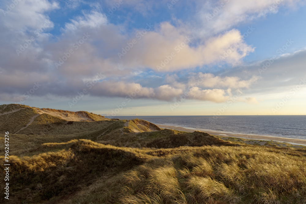 Dunes in Schoorl, North Holland landscape, seaside climate. Dunes in Schoorl, North Holland landscape, seaside climate.