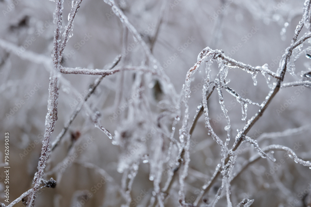 Ice on the grass.The weather was so cold that the dripping dew froze nicely. Ice on the grass.The weather was so cold that the dripping dew froze nicely.