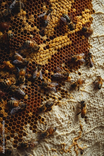 Bees gathered on a piece of honeycomb. Suitable for nature and agriculture concepts