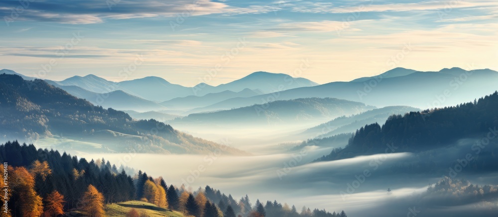 Mountains covered with mist and distant trees