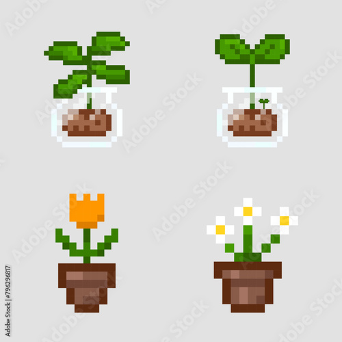 Pixel art flower in a pot, Vector pixel plant in transparent jar