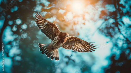 Majestic hawk soaring against a sunlit bokeh background. Generative AI © Катерина Нагірна