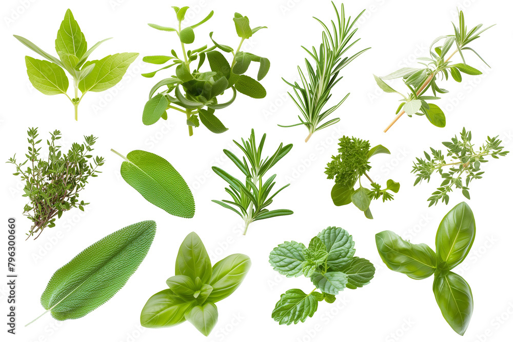 different herbs png object isolated on transparent background, mockup, design, template, layout, sticker