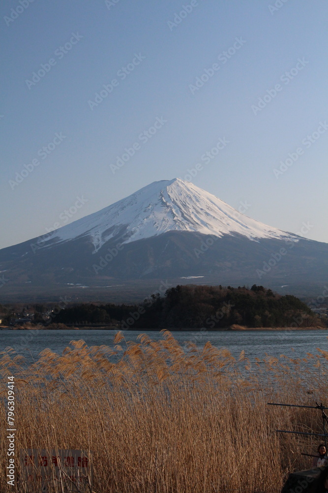 Obraz premium Mount Fuji with sunny blue sky and lake in Japan