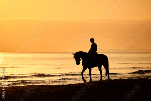 Rider in silhouette excercising the horse