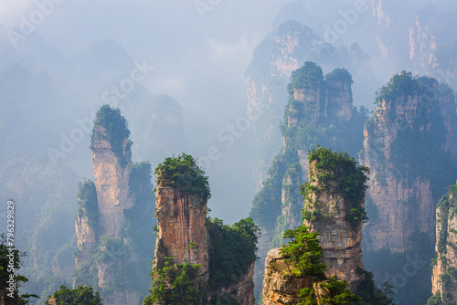 Fog slowly dissolves due to the warmth of the rising sun in the spectacular landscape with eroded irregularly shaped sandstone pinnacles, Zhangjiajie National Forest Park, Hunan province China
