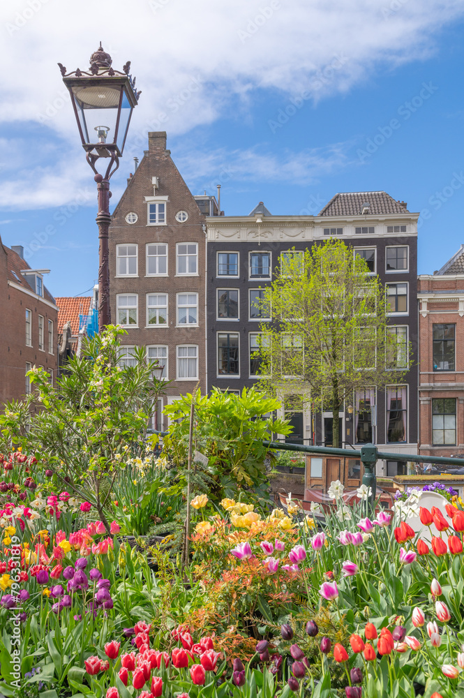 Tulips in a canal of Amsterdam, Netherlands