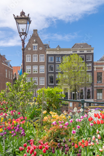 Obraz na płótnie Tulips in a canal of Amsterdam, Netherlands w salonie
