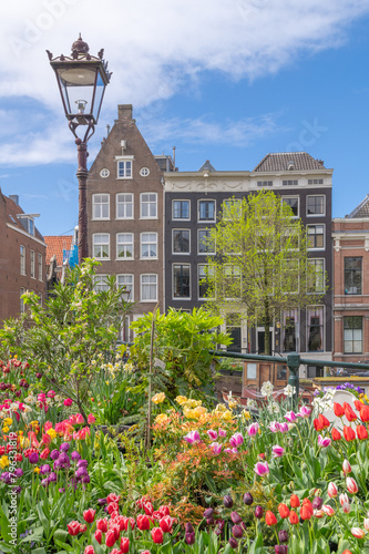 Tulips in a canal of Amsterdam, Netherlands