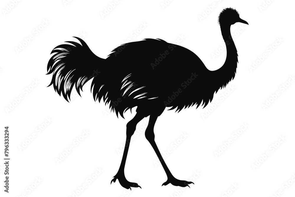 ostrich-black-silhouette-vector-with-white-background. ostrich-black-silhouette-vector-with-white-background.