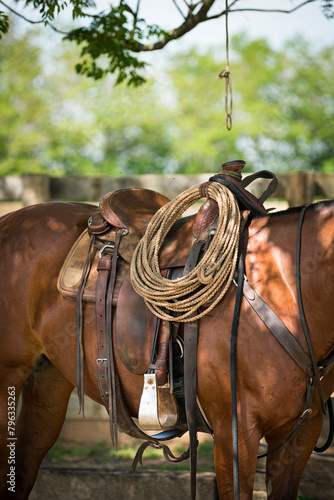 Detail of a western saddle photo