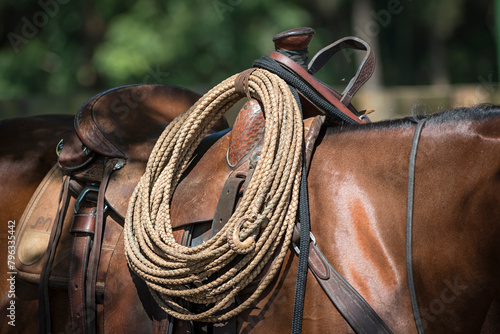 Detail of a western saddle