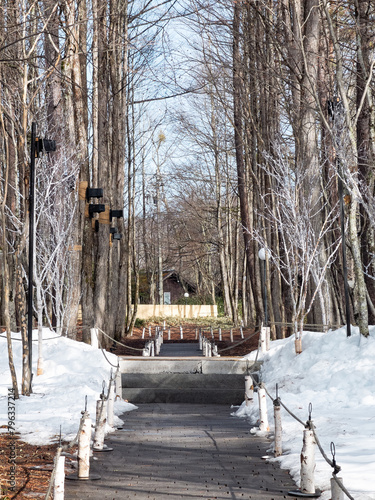 Beautiful snow scene in Karuizawa, Japan