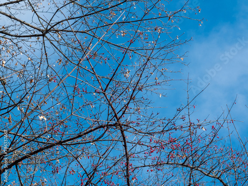 Beautiful scenery of Karuizawa, Japan