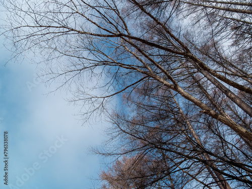 Beautiful scenery of Karuizawa, Japan