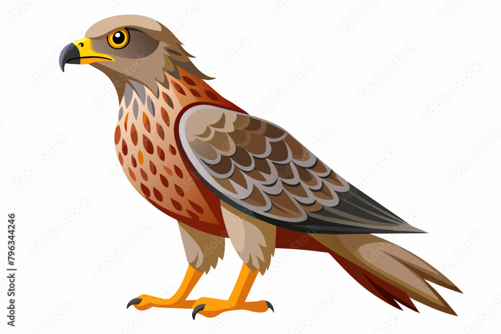 Oriental honey buzzard vector design. Oriental honey buzzard vector design.