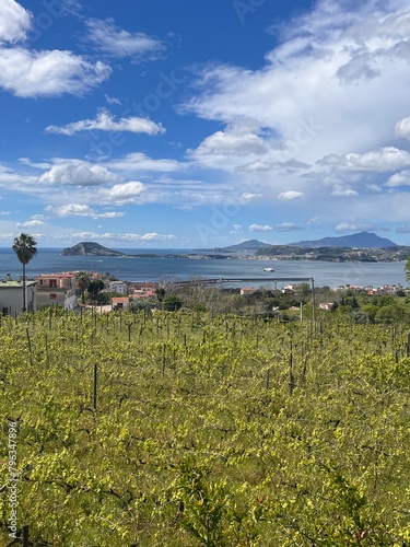 Campi flegrei